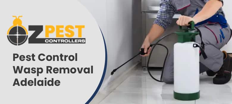 Pest Control Wasp Removal Adelaide